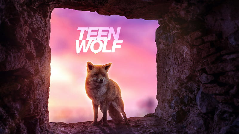 Teen Wolf, teen-wolf, tv-shows, wolf, behance, HD wallpaper