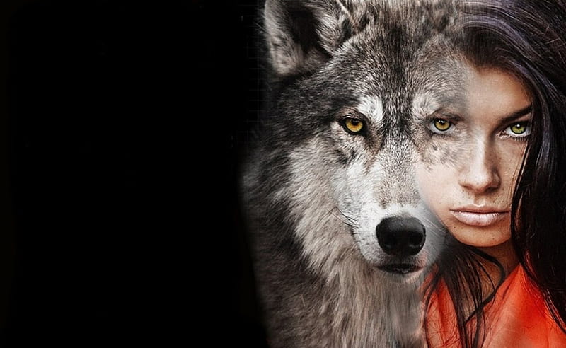 Eyes, wolf, girl, gorgeous, HD wallpaper | Peakpx
