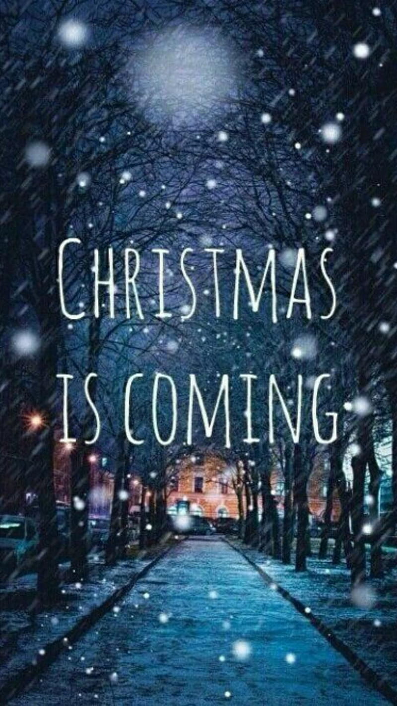 Christmas is coming!