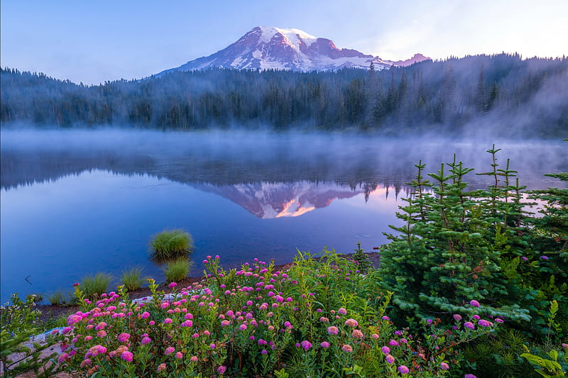 Mount Rainier Nat'l. Park, Washington State, mountain, nature, wild flowers, lake, reflection, HD wallpaper
