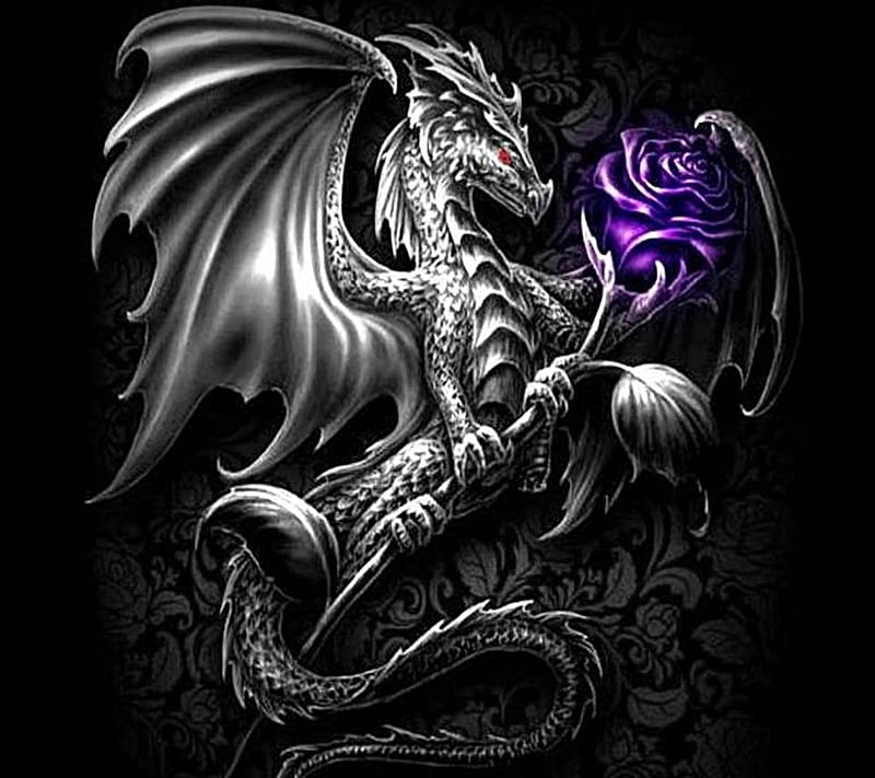 Silver Dragon, wings, purple, awesome, dragon, silver, HD wallpaper