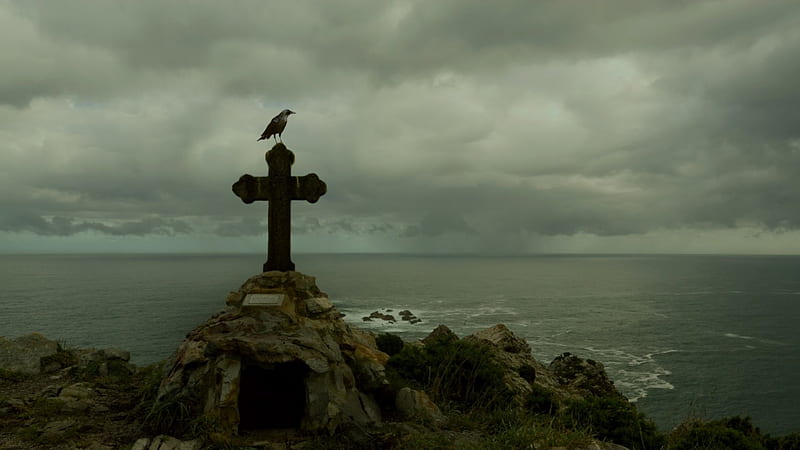 bird standing on a memorial cross at a seacoast, bird, memorial, overcast, cross, coast, sea, HD wallpaper