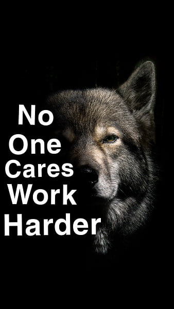 Hd No One Cares Wallpapers | Peakpx