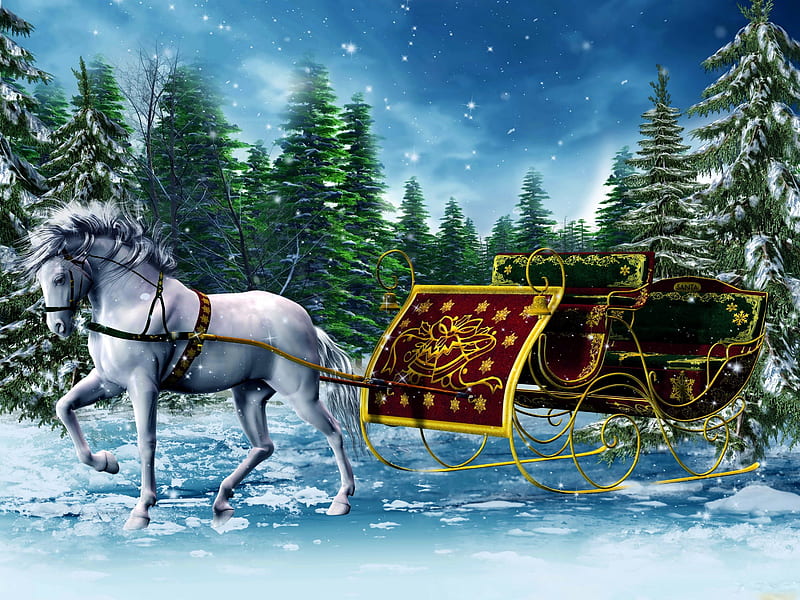 Christmas magic, north, sleigh, stars, forest, lovely, christmas, bonito, magic, trees, horse, sky, pole, winter, snow, snowflakes, ride, HD wallpaper