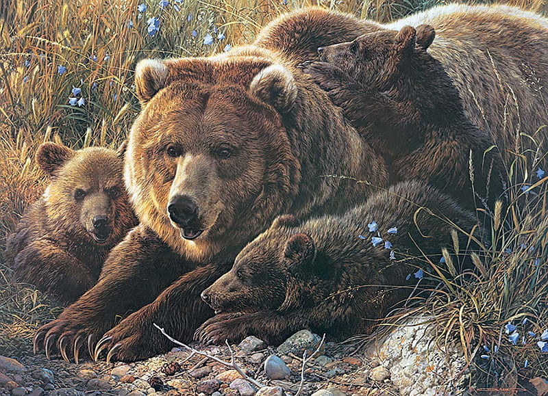 Grizzly family, cub, bear, grizzly, animal, family, art, brown, cute, urs, painting, pictura, HD wallpaper
