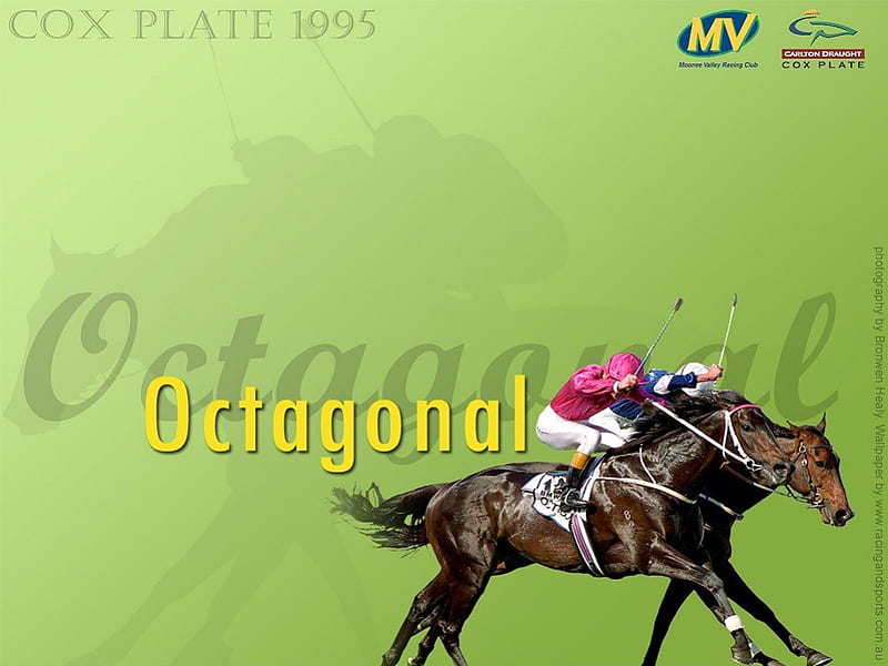 Octagonal, green, horses, Animals, race horse, HD wallpaper