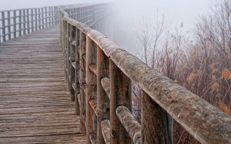 wonderful wooden bridge, rail, bridge, weeds, wood, fog, HD wallpaper