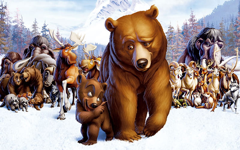 Hermano, oso, dibujos animados, animales y móvil, dibujos animados de oso  pardo, Fondo de pantalla HD | Peakpx