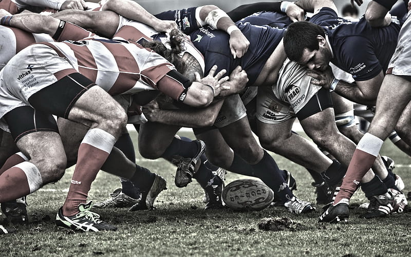 rugby, England, team sports, match, wrestling, HD wallpaper