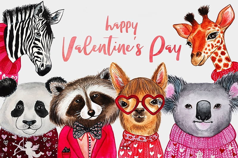 Happy Valentine's Day!, raccoon, pink, animal, card, bear, koala, panda, lama, funny, zebra, giraffe, watercolor, HD wallpaper