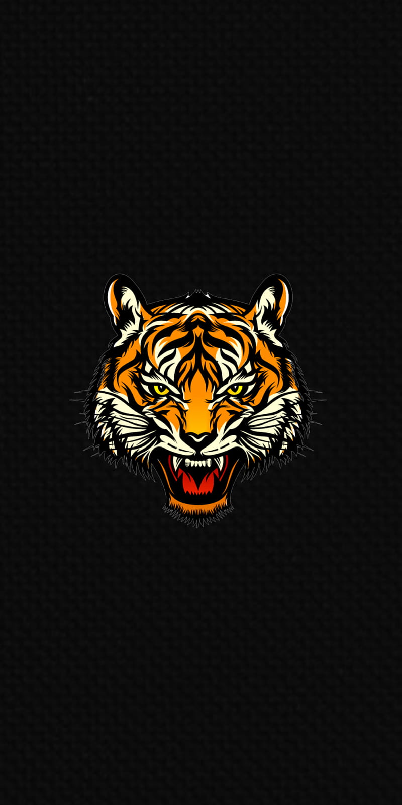 Tiger, cats, HD mobile wallpaper | Peakpx