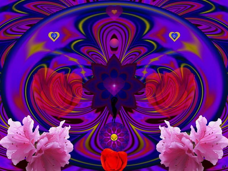 Flores para la mujer, 3d, fractal, abstracto, collage, golosina para la  vista, Fondo de pantalla HD | Peakpx