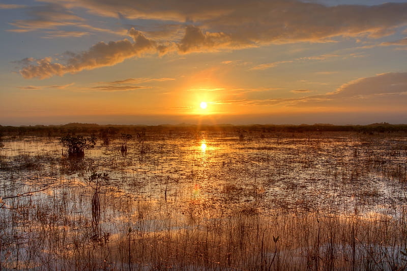 Everglades Sunset, Marsh, Sky, Reeds, Florida, Sunsets, Nature, Water, Everglades, Clouds, Sun, HD wallpaper