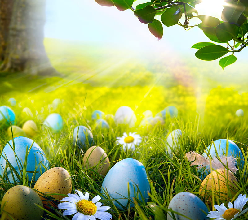 Easter Time, eggs, flowers, grass, meadow, spring, sunshine, HD wallpaper