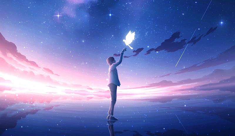 Anime, Boy, Starry Sky, HD wallpaper