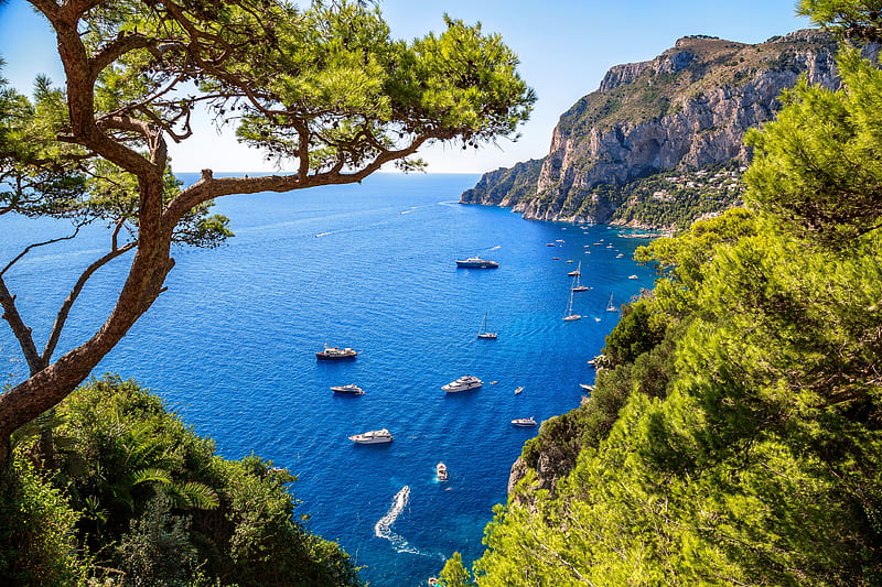 Capri, Italy, rocks, view, Italy, Capri, trees, lake, sea, yachts, boats, summer, coast, HD wallpaper