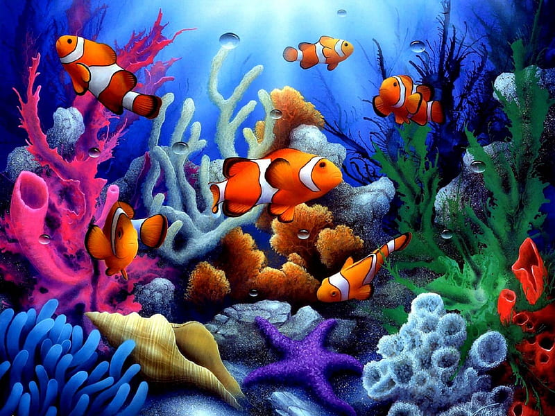 ★Perfect Sealife★, corals, pretty, colorful, oceans, attractions in dreams, bonito, dolphins, sealife, animals, blue, underwater, fishes, lovely, colors, love four seasons, creative pre-made, seahorses, starfishes, nature, HD wallpaper