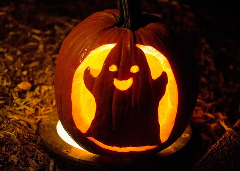 Calabaza Fantasma Otono Vispera De Todos Los Santos Temporada Obra De Arte Fondo De Pantalla Hd Peakpx