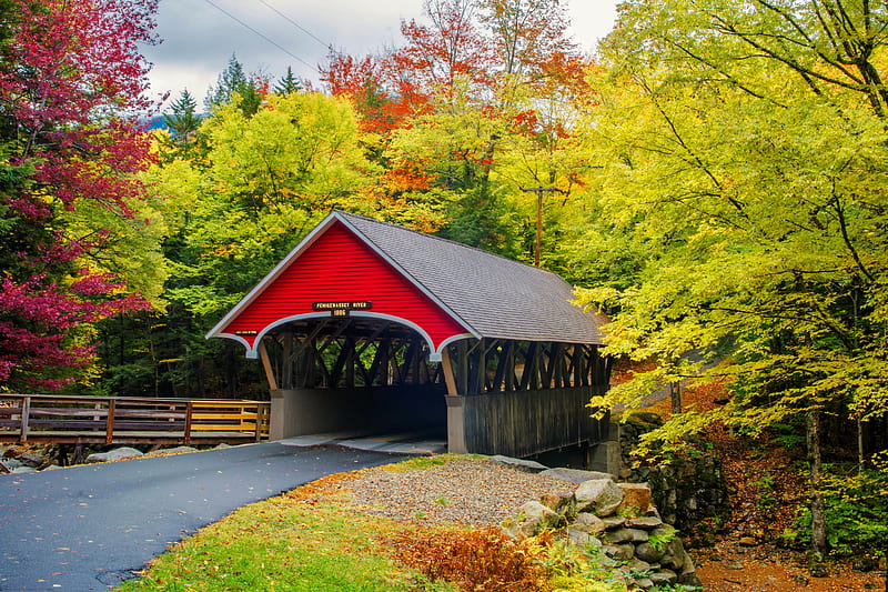 Covered bridge in autumn, bridge, fall, forest, autumn, covered, colors, bonito, HD wallpaper