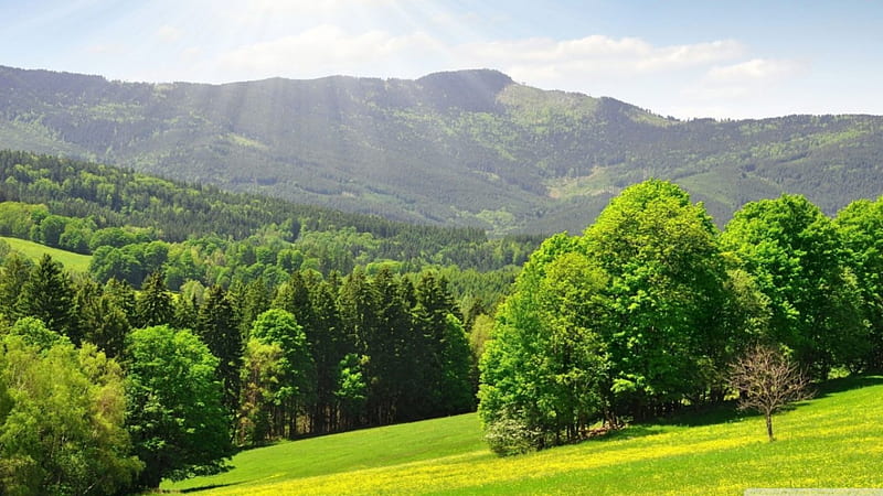 Spring mountain landscape, hills, forest, spring, green, mountains, nature, scene, landscape, HD wallpaper