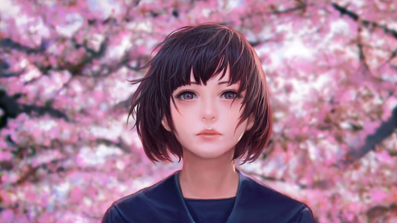 Girl, sakura, anime, manga, face, spring, kakotomirai, HD wallpaper