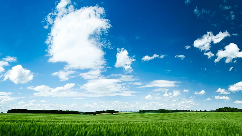 Greenfield, cool, cloud, green, grass, sky, scenery, field, blue, HD wallpaper