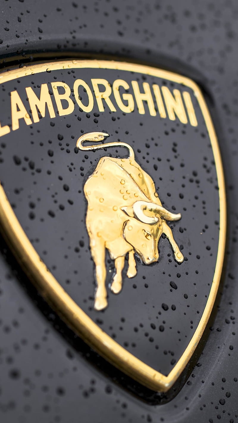Lamborghini Wet Logo , lamborghini logo, sports car, car, brand logo, HD phone wallpaper