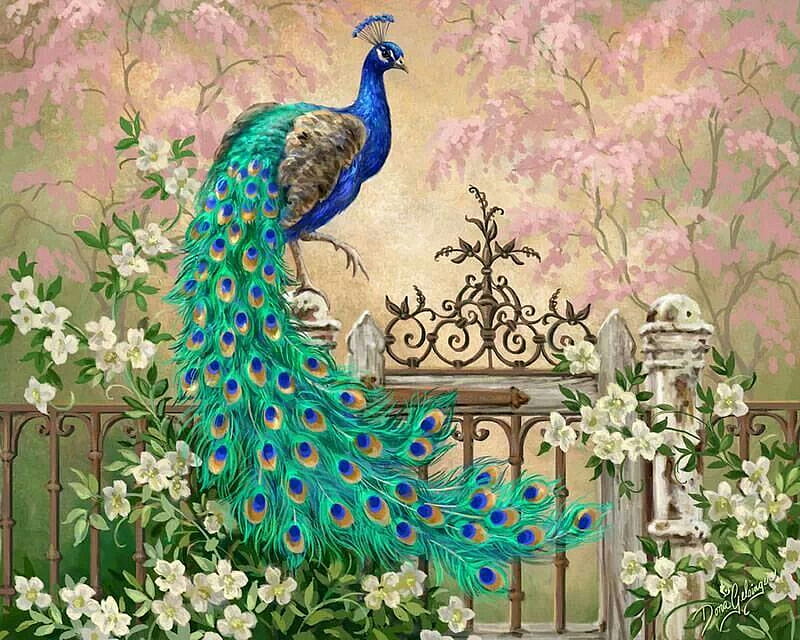 Peacock, bird, feathers, painting, colors, flowers, artwork, HD wallpaper