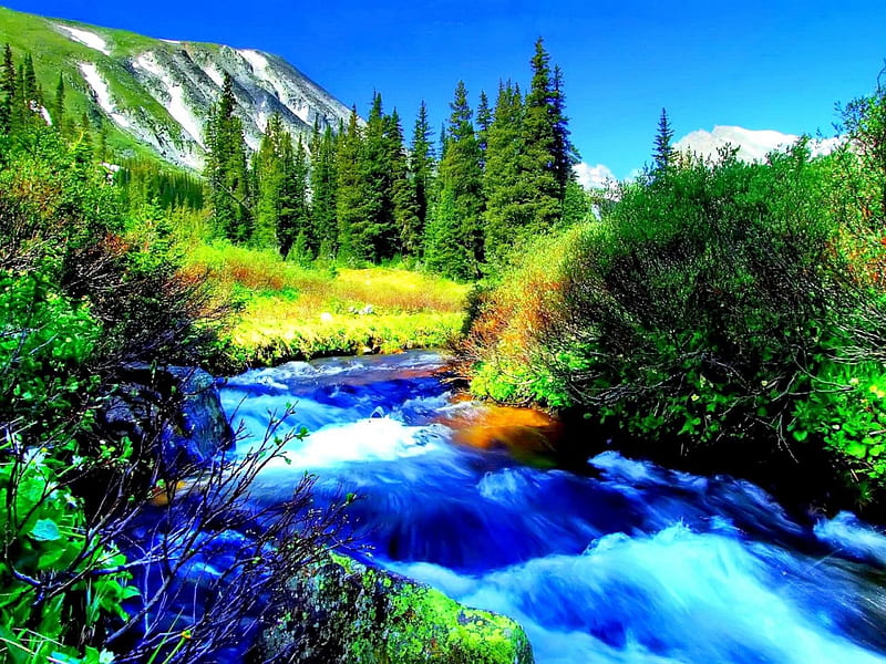 Blue Mountian Stream, stream, rocks, colors of nature, colorful, green nature, clouds, nature of forces, Nature, leaves, calm, lovely stream, aniamls, blue, forest, sunny day, fishes, life, colors, birds, places, sky, trees, waterfalls, water, sounds, mountains, plants, summer, white, natural, HD wallpaper