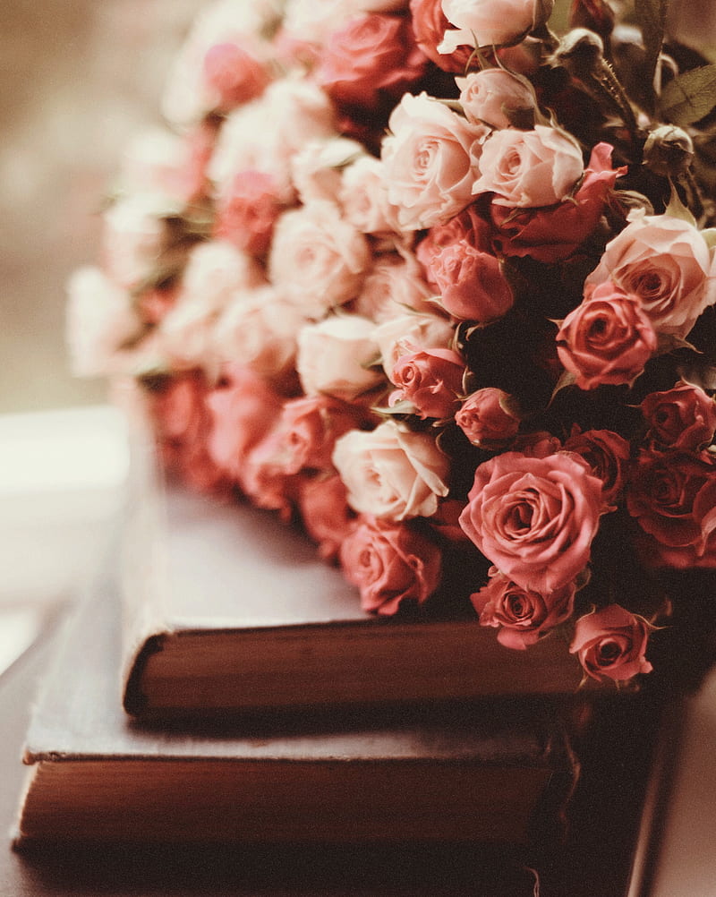roses, bouquet, flowers, pink, books, HD phone wallpaper