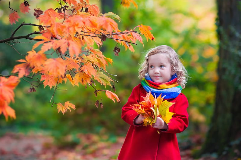 Little girl, red, autumn, little, orange, yellow, leaf, girl, green ...