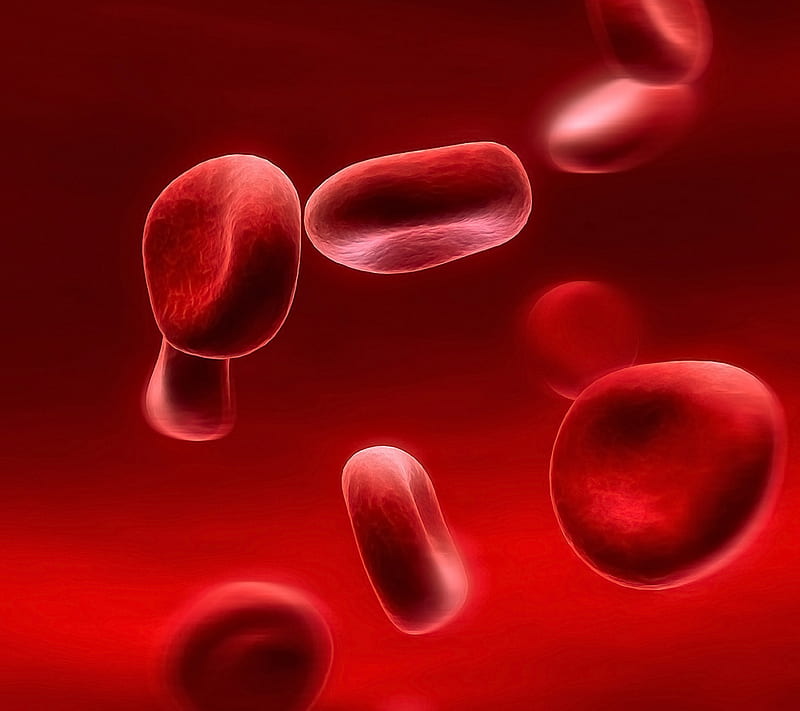 Globule, blood, blood cells, red, HD wallpaper