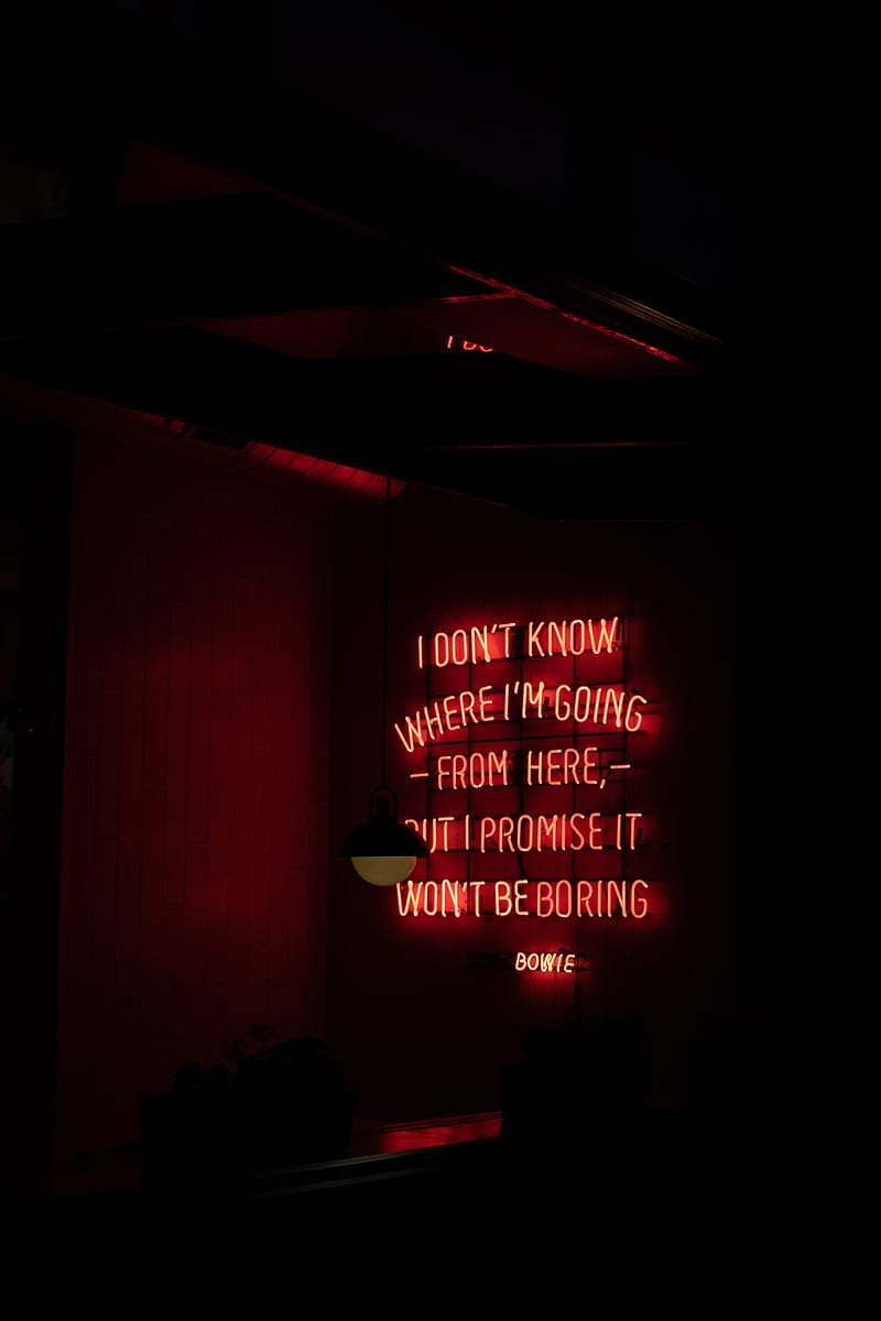 Quotes, phrases, text, neon, backlight, dark, HD phone wallpaper | Peakpx