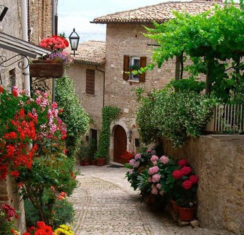 Venetian street, beauty, flowers, stone, houses, HD wallpaper