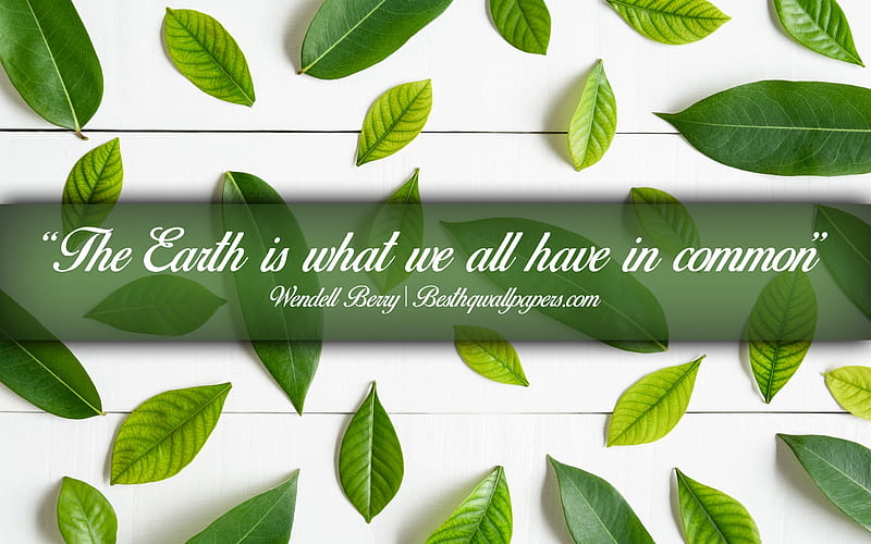 The Earth is what we all have in common, Wendell Berry, calligraphic text, quotes about Earth, Wendell Berry quotes, inspiration, background with leaves, HD wallpaper