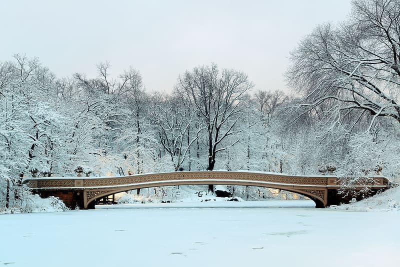 Bow Bridge Central Park, winter, central, bow bridge, park, HD ...