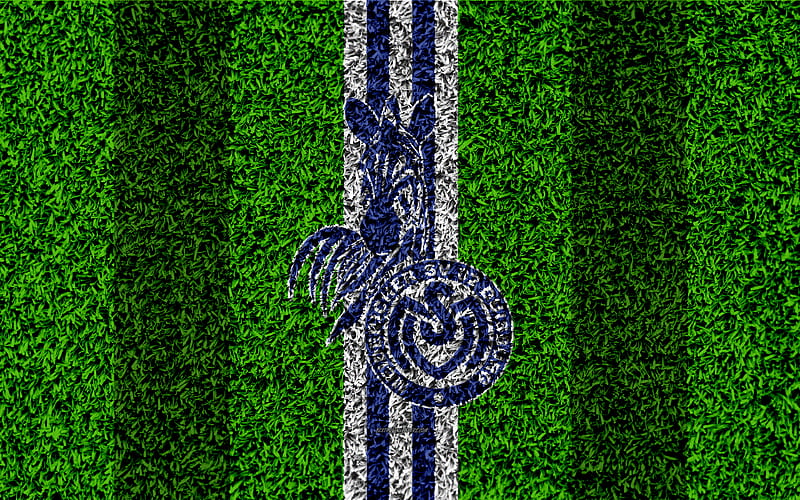 MSV Duisburg German football clubs, football lawn, logo, emblem, blue white lines, Bundesliga 2, Duisburg, Germany, football, grass texture, Duisburg FC, HD wallpaper