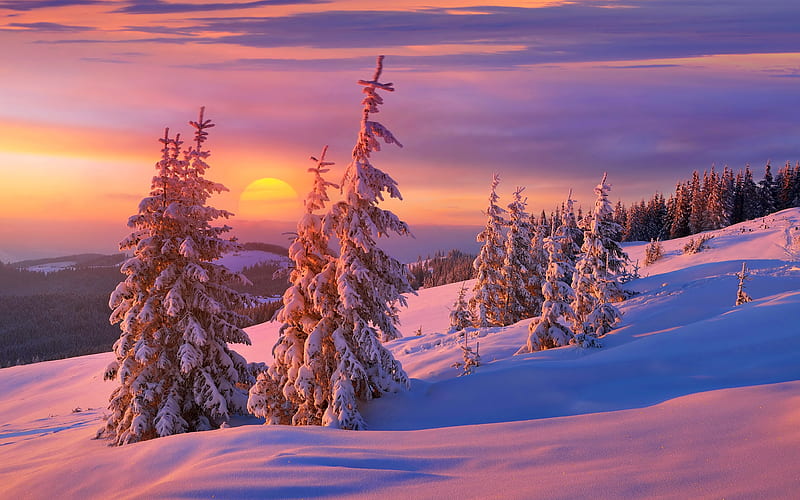 Amazing winter sunset, bonito, sunset, trees, cold, winter, amazing, fiery, sky, mountain, snow, slope, HD wallpaper