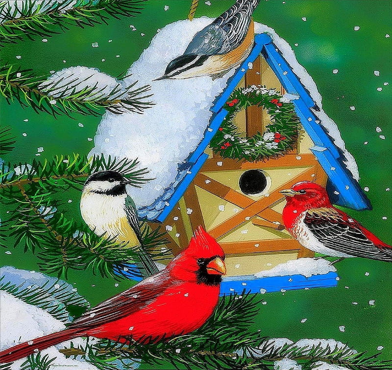 ★Happy Little Home★, branch trees, wreath, holidays, bonito, digital art, seasons, xmas and new year, greetings, cardinals, paintings, friendship, drawings, lovely, christmas, happiness, love four seasons, birds, little home, winter, cute, snow, HD wallpaper