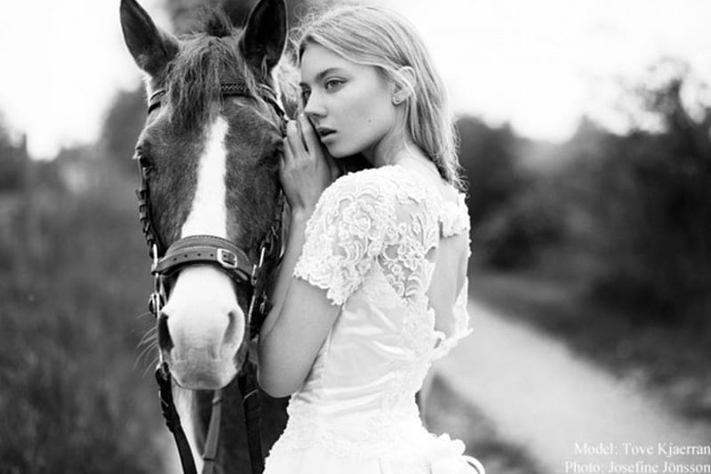 Wedding on horseback, black and white, bride, graphy, horse, HD wallpaper