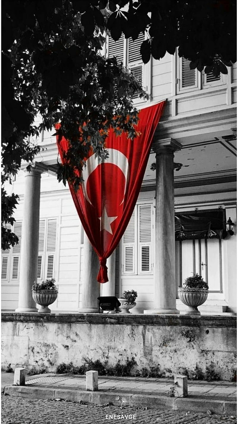 ENESAVGE, autumn, flag, ev, turk, vatan, HD phone wallpaper