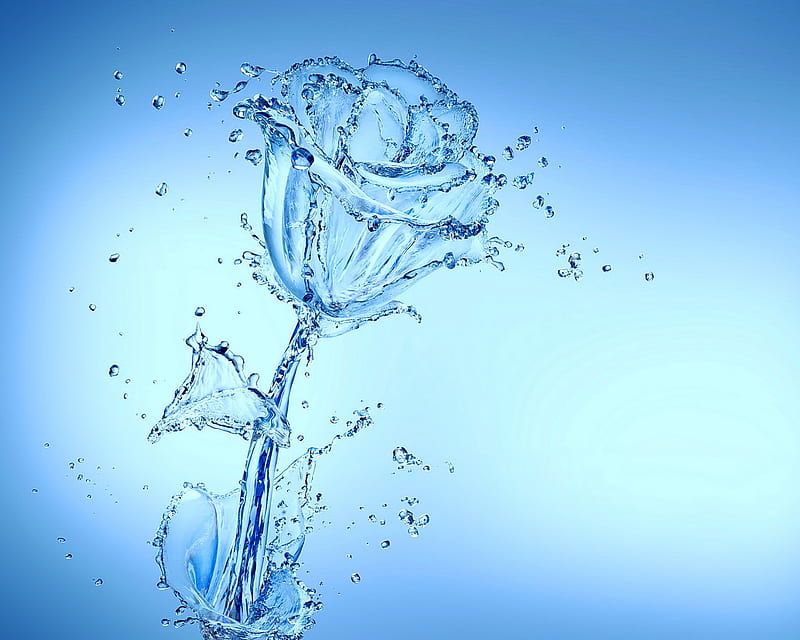 Aqua Rose, aqua, drops, flower, rose, splash, water, HD wallpaper | Peakpx