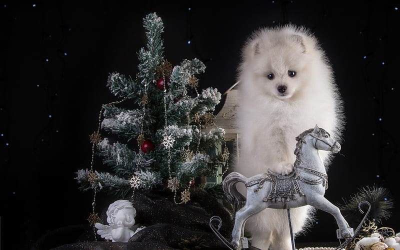 Christmas puppy, deco, craciun, christmas, toy, black, horse, animal, tree, spitz, white, puppy, dog, HD wallpaper