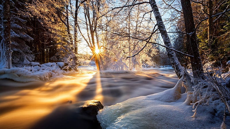 magical winter stream r, stream, sun beams, ice, r, trees, winter, HD wallpaper