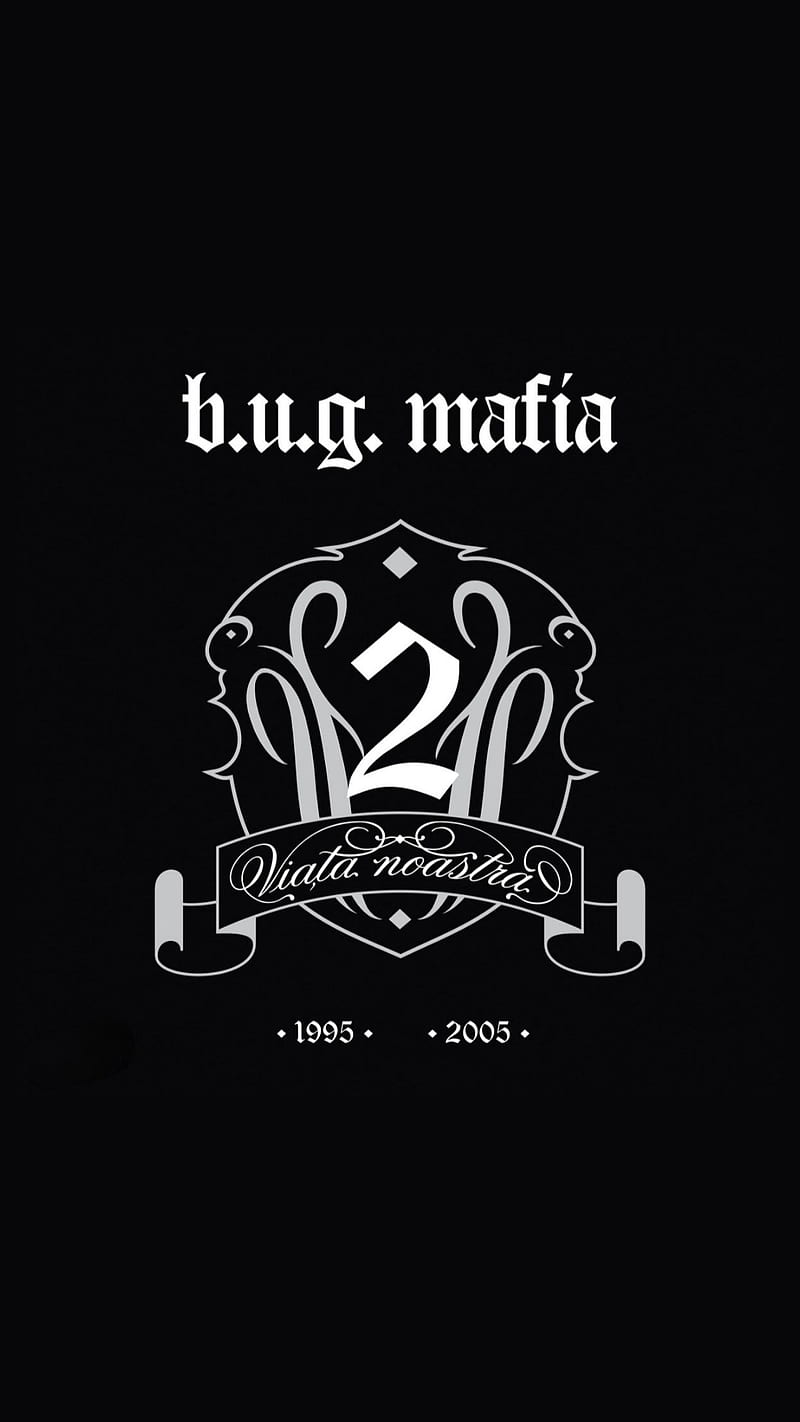 bug mafia VN2, bug mafia, viata noastra, HD phone wallpaper