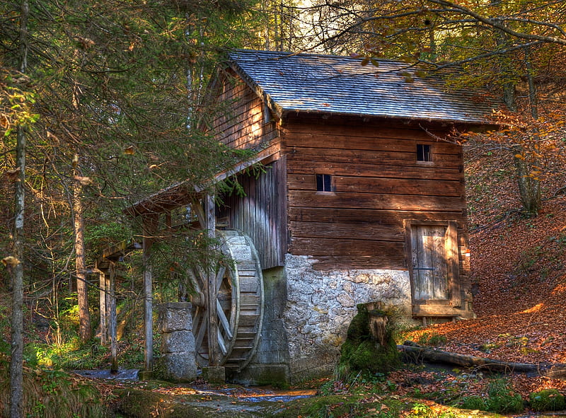 Old Watermill, forest, house, mill, Creek, HD wallpaper