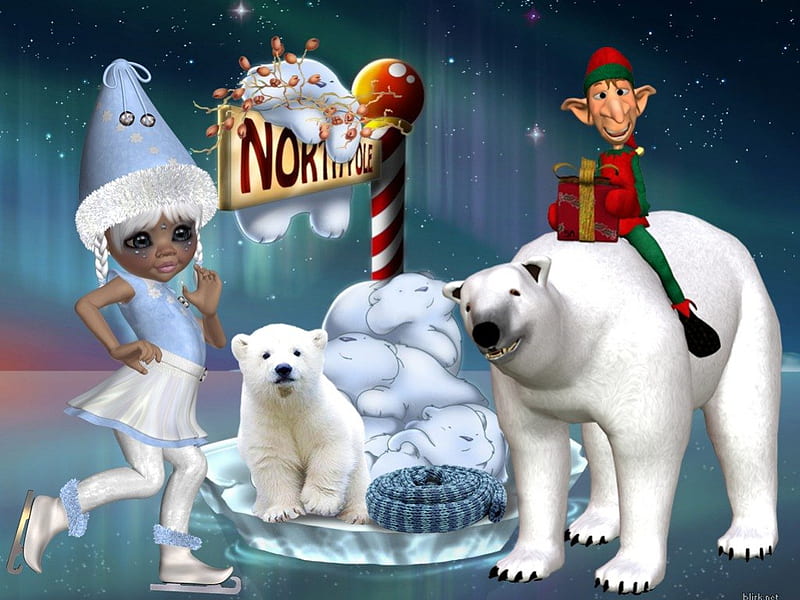 North Pole, eisbear, christmas, snow, winter, HD wallpaper