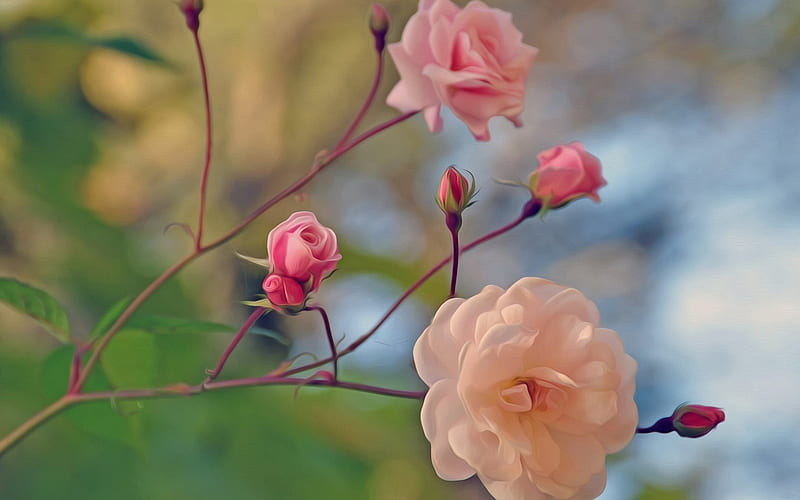 March 8, painted roses, painted flowers, spring, roses, HD wallpaper