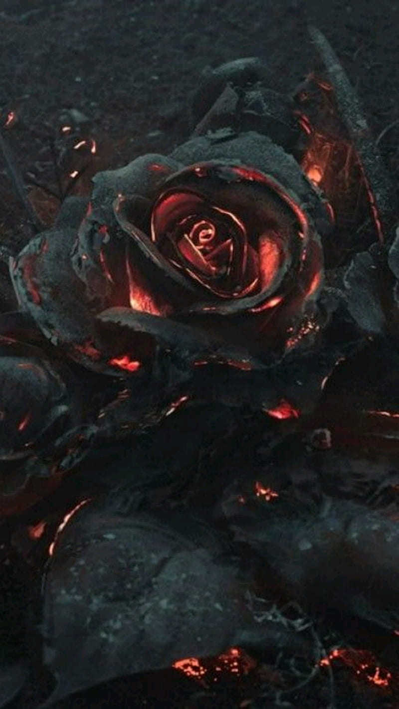 Vulcan Rose, black, burning, dark, HD phone wallpaper