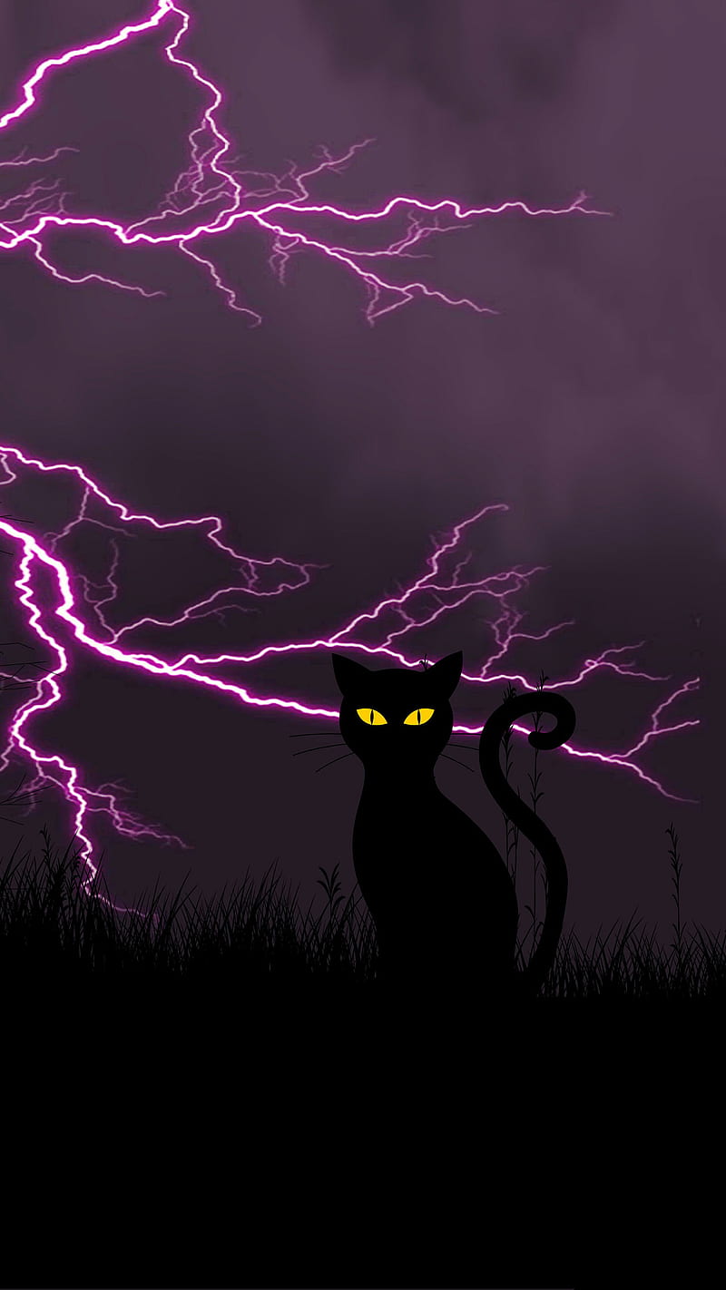 Purple halloween, black cat, cat, colors, halloween, lightning, october, purple, HD phone wallpaper